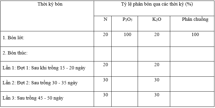 Bón phân cho dưa lưới 2_1705909751.PNG